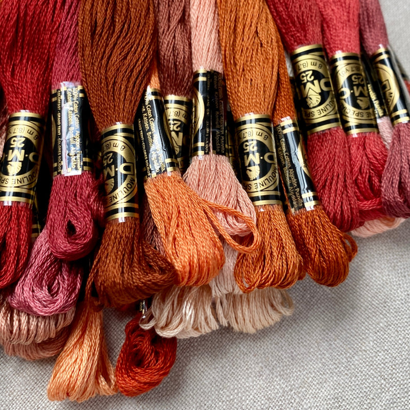 DMC Embroidery Floss: Rosy Browns – Tiny Tomatoes Supply Co.