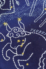 Kiriki Press // Constellation Series // Star Map - 11" Hoop Kit