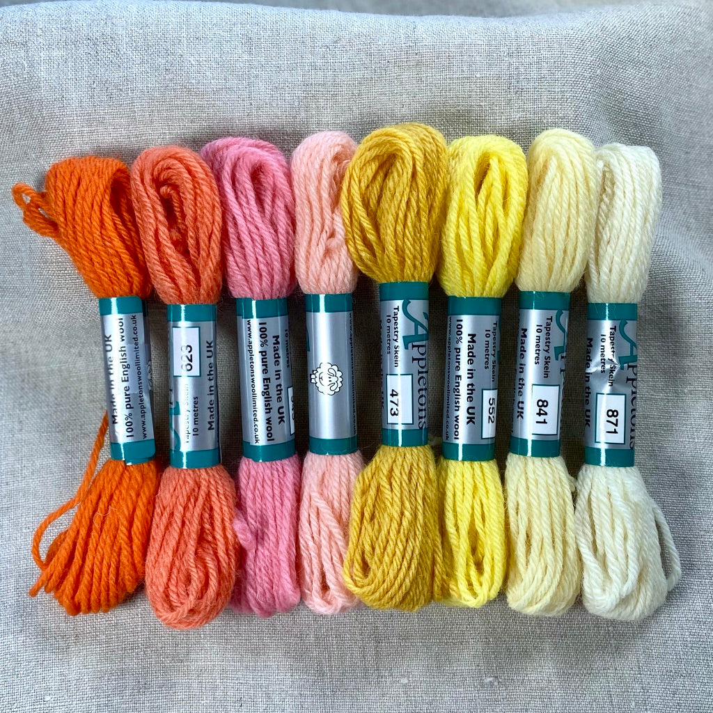 Appleton's Tapestry Wool: Citrus Candy set of 8 - Tiny Tomatoes Supply Co.
