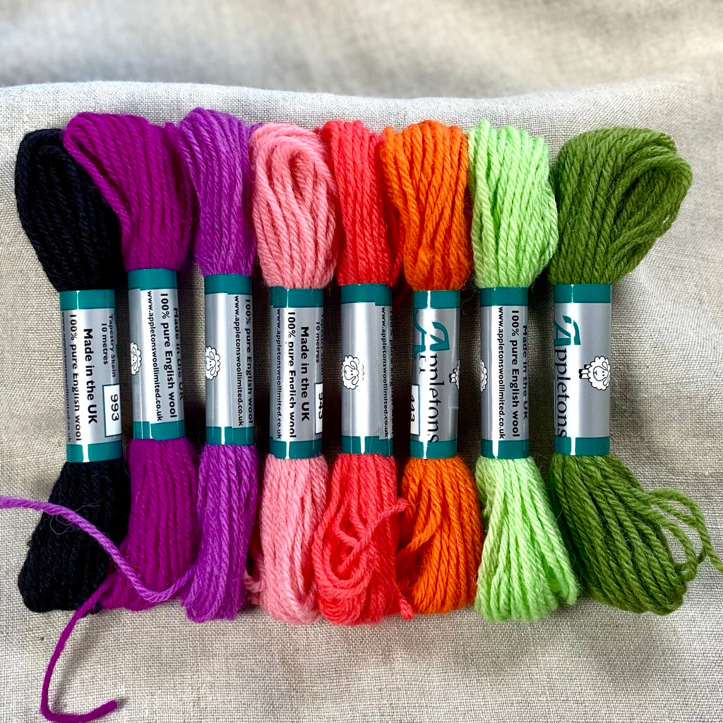 Appleton's Tapestry Wool: Rainbow Licorice set of 8 - Tiny Tomatoes Supply Co.