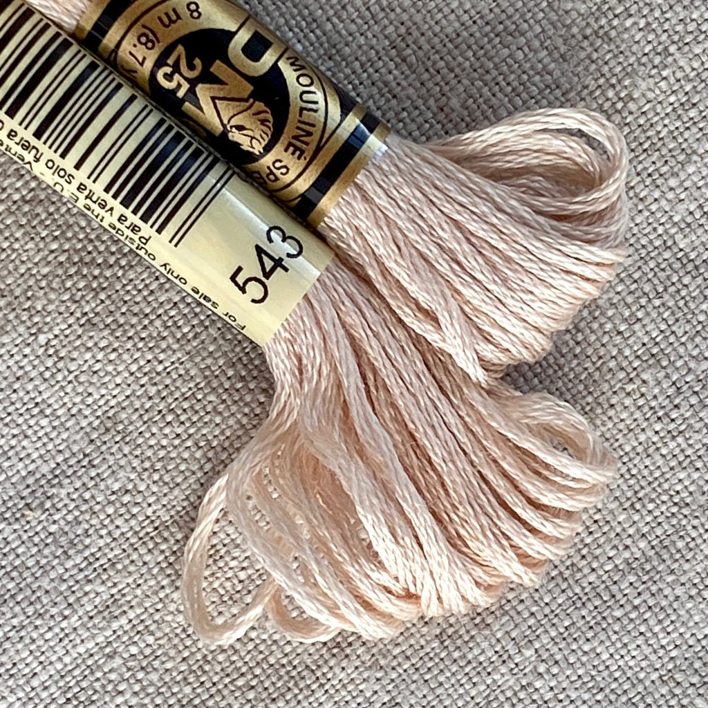 DMC Embroidery Floss: Brown Browns - Tiny Tomatoes Supply Co.