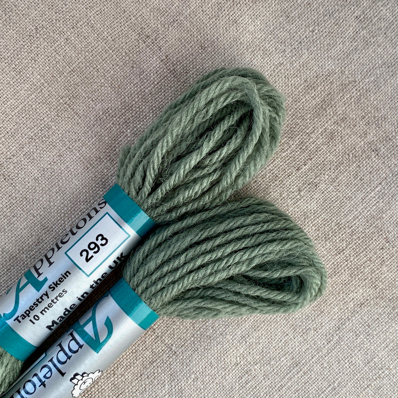 Appleton's Tapestry Wool: 293 - Tiny Tomatoes Supply Co.