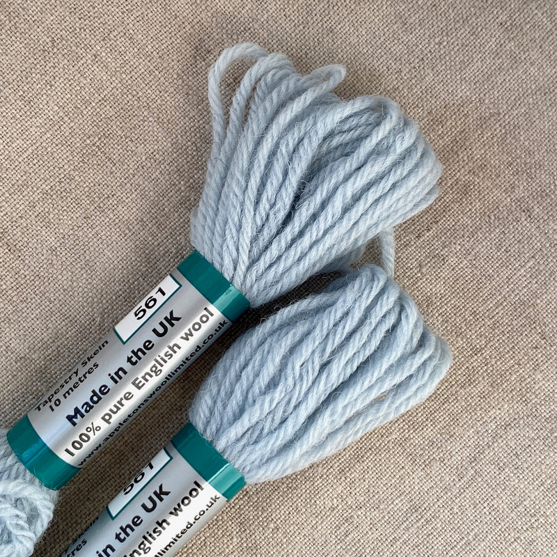 Appleton's Tapestry Wool: 561