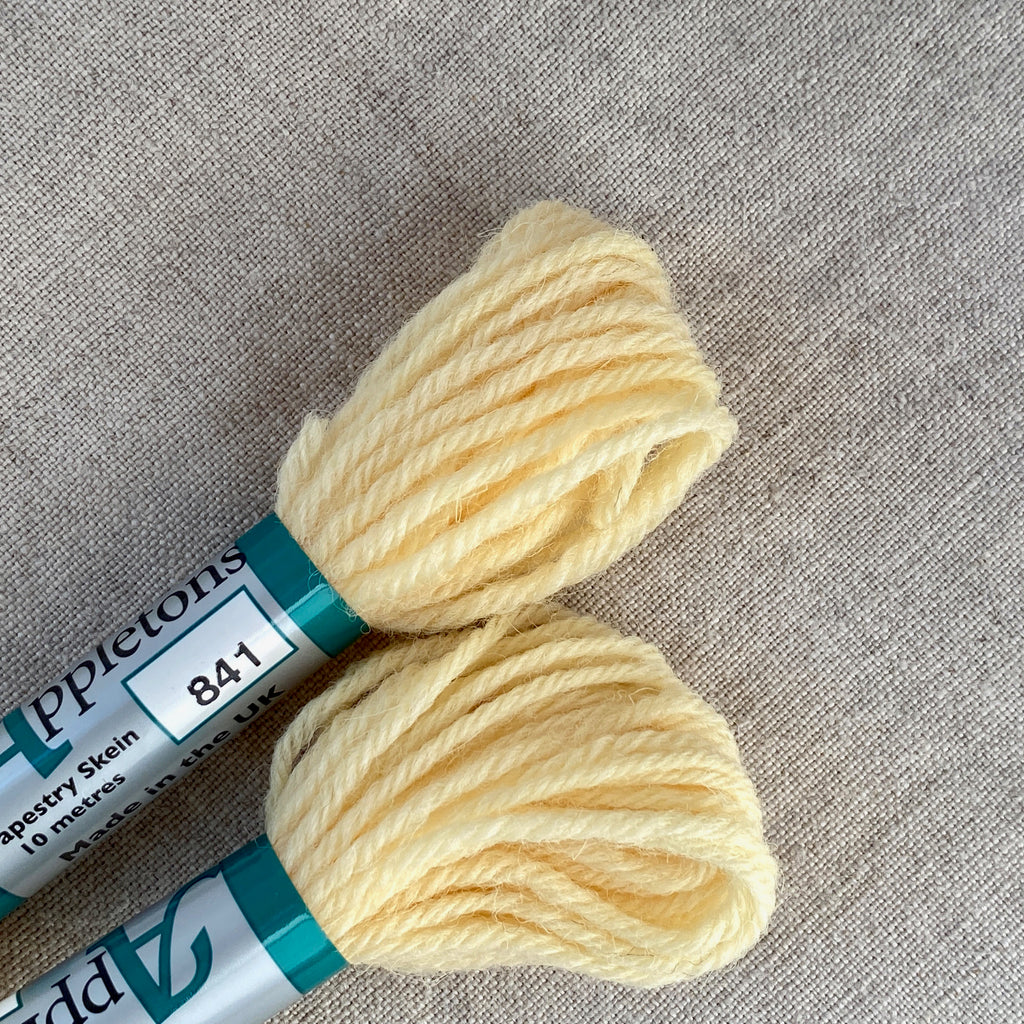 Appleton's Tapestry Wool: 841 - Tiny Tomatoes Supply Co.